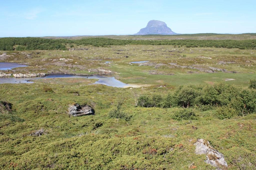 Bilde 9. Buøya lokalitet 1. Bilde tatt fra den nordligste haugen i lokaliteten, med utsikt mot sør.
