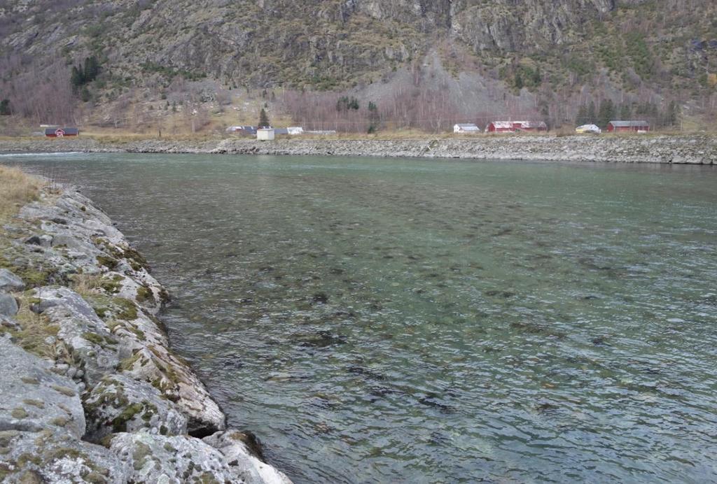 5 6 7 Foto 5, 6 og 7. Tilførte finmasser av sand og grus på bunnen i hovedelv og sideløp. 1) Lærdalselva sett motstrøms i hølen Peer.