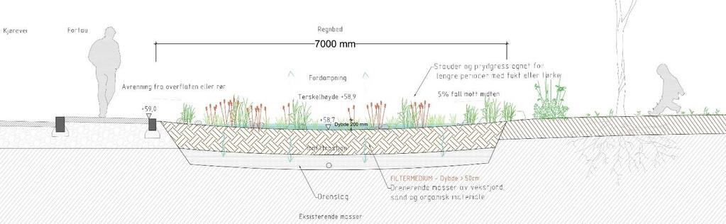 Fordrøyning på terreng I både nedbørsfelt C og D er det lagt opp til en viss fordrøyning av overvann på terreng i form av regnbed og andre forsenka arealer.