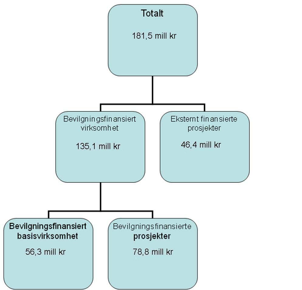 2. Risiko i regnskapet/økonomiforvaltningen 2008.