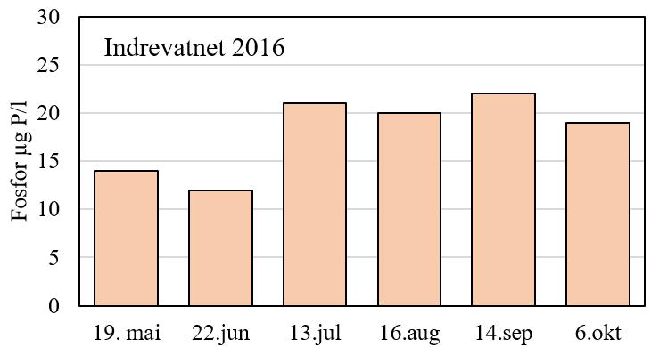 VIRKNING AV TILFØRSLER AV NÆRINGSSTOFF Indrevatnet var i 2016 middels næringsrik, med gjennomsnittskonsentrasjon av fosfor på 18 μg P/l og av nitrogen på 362 μg N/l (tabell 8 & figur 7).