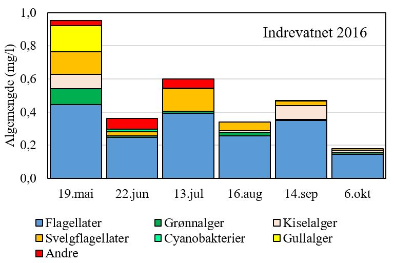 Innholdet av klorofyll a, som utgjør mengden grønnfarge i algene, hadde et høyeste innhold på 7,6 µg/l under våroppblomstringen i mai, og med et gjennomsnitt på 4 μg Chl a/l, tilsvarer det opp mot