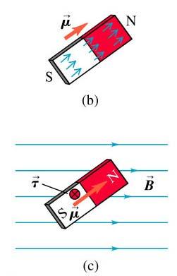 (f.eks. kompassnål) innrettes i et magnetisk felt (Fig 21.