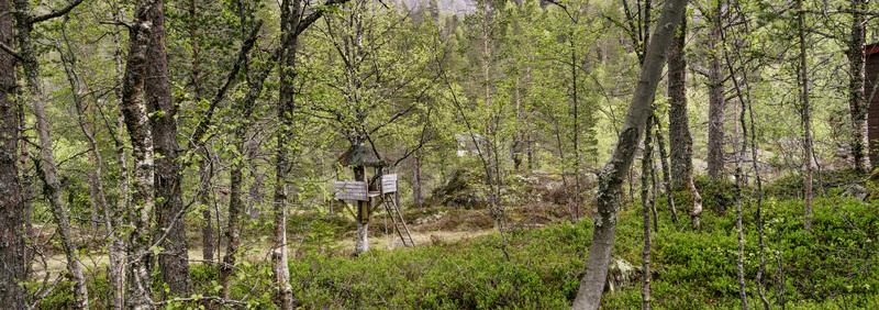 EMVEST.NO / SELJESTAD 19 GENERELL INFORMASJON VEDLEGG TIL SALGSOPPGAVEN 1. Kart over tomteområde og tomten 2. Grunnkart 3. Matrikkelbrev 4. Målebrev 5. Budskjema 6.