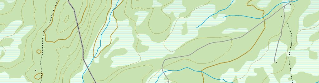 Bjønnhaugen (Gjøvik, Oppland). Areal 1.