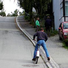 nest største