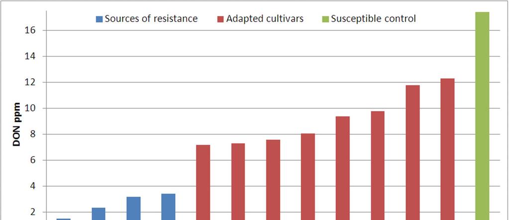 Dagens situasjon i norsk vårhvete Et realistisk foredlingsmål ved hjelp av markører og