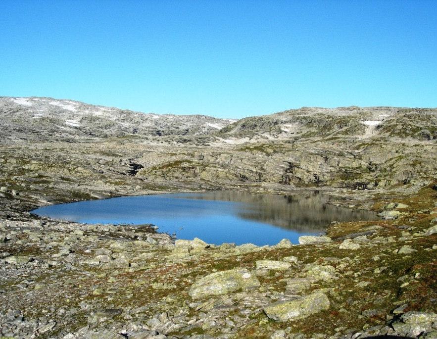 Fiskeundersøkelser i 7 innsjøer i Hordaland