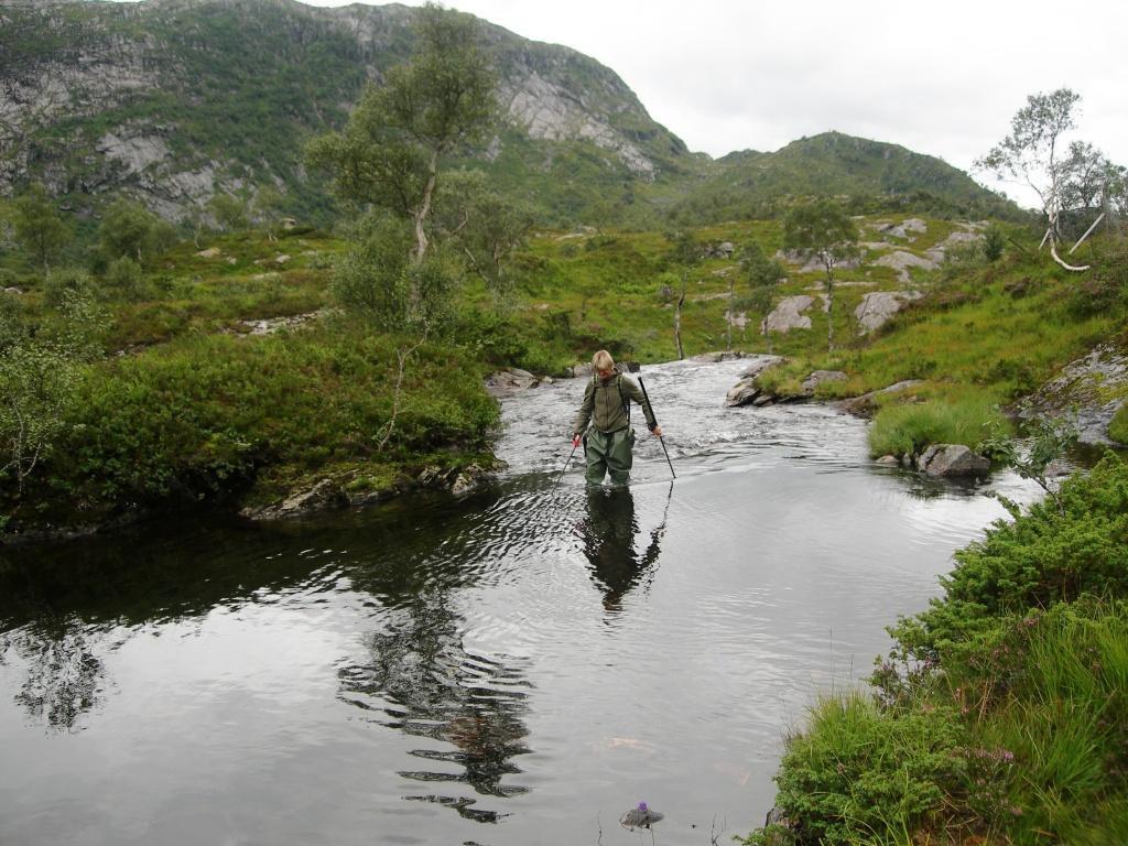 Innløpsbekk (2) (LN 185 468) fra Geitaskardvatni har et bunnsubstrat bestående av grus, små- og store stein, det er noe begroing i elven.