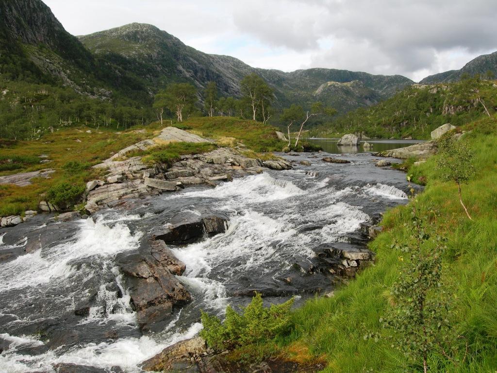 Totalt ble et areal på ca 2 m² elektrofisket og det ble fanget åtte aure, fire av disse var årsyngel. Vanntemperaturen var 12,8 C.