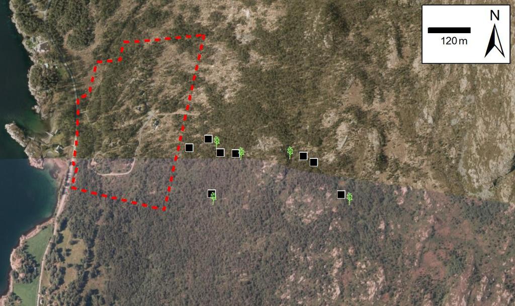 Figur 7: Registreringskart med observasjoner fra befaring inntegnet.