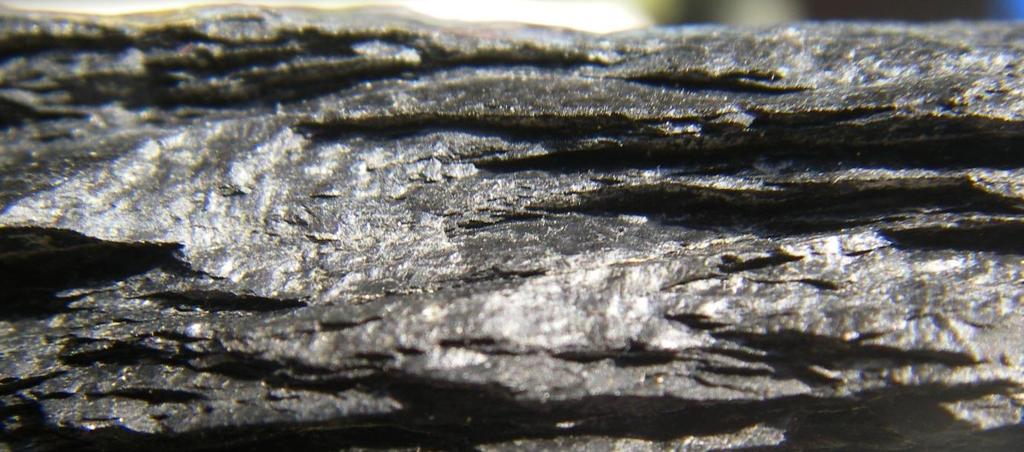 Frisk, uforvitra alunskifer, med typisk svart kol-liknande preg Alunskifer inneholder svovel (Fesulfider) og organisk materiale