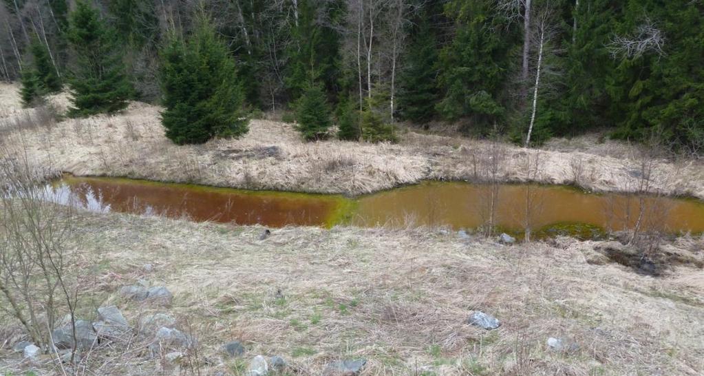 Det er viktig å handtere alunskifer riktig! Virkninger av sigevatn frå alunskiferdeponiet på Taraldrud, S. for Oslo.