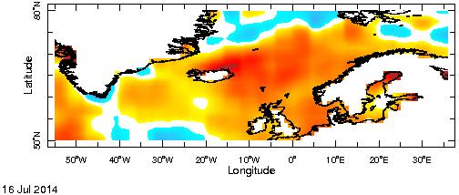 Store mellomårlige endringer i overflatetemperatur Sommer 214 Sommer 215 SST anomali: