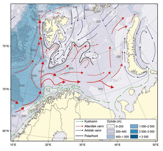 Innstrømming av kystvann og Atlantisk vann nordover langs finnmarkskysten og inn i Barentshavet Stor