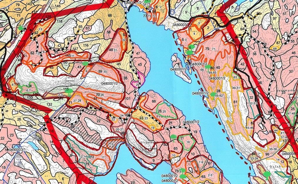MiS i Risør, Søndeled, Dalsvann: rikt edellauvskogsområde med