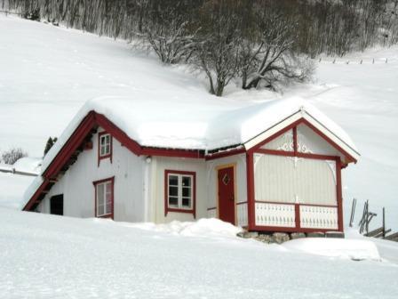245, Grøndalen, Hemsedal kommune: Tunet inneholder kun eldre tømmerhus, og har høy verneverdi, som et godt eksempel på mindre bruk i øvre del av Hallingdal på 1800-tallet.