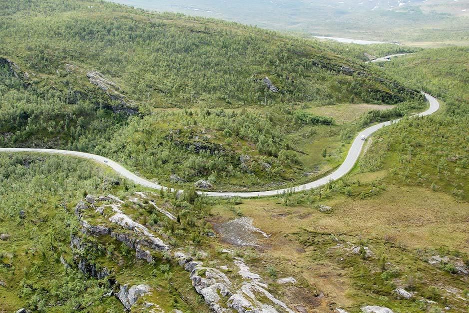 vegetasjonen preges fremdeles av bjørk og lyng, med enkelte små myrer og små rabber med bart fjell. Vegen slynger seg langs Sandneselva og videre nedover mot fjorden.