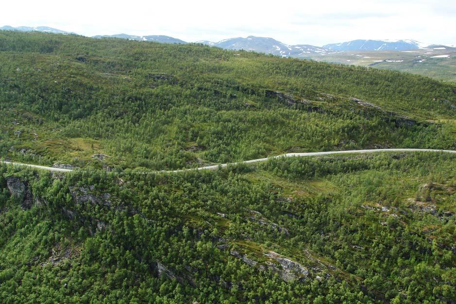 Vegen fortsetter å svinge seg ned mot fjorden, men i brattere terreng enn tidligere, og bergskjæringene blir stadig høyere.