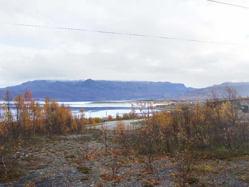 E6 går tvers gjennom delområdet, og følger terrenget i stor grad.