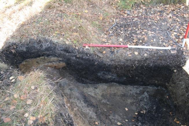 Gropa ble undersøkt ved at en kvadrant ble fjernet med spade.