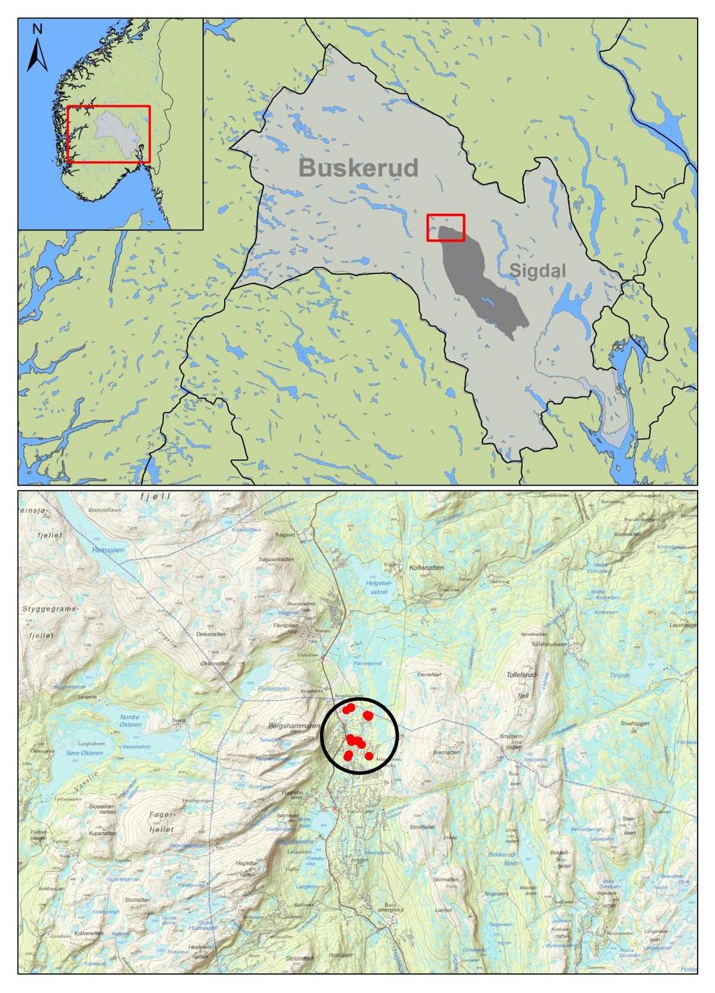 4. LANDSKAPET, FUNN OG FORNMINNER Haglebu ligger øverst i Eggedal, nord i Sigdal kommune. Dalføret fører fra Nore i Numedal i vest og østover fjellet til Flå i Hallingdal.