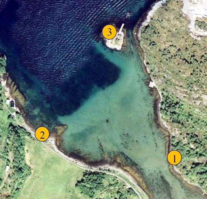 Figur 8-2 Plassering av stasjoner for kartlegging av flora og fauna i strandsonen. 8.2.1 Verdivurdering av naturmiljø Fugløyas langvarige stabilitet som artsrik og individrik sjøfuglkoloni gjør den regionalt viktig på Nordmøre, og øya er nå vernet.