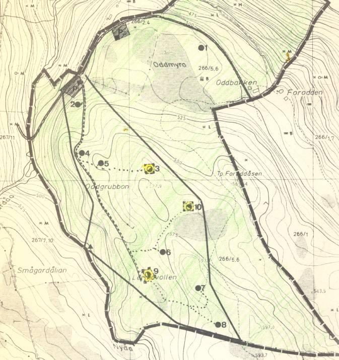 Planstatus: Eiendommen gbnr 266/30 omfattes av en eldre reguleringsplan fra 1989. Planen omfatter i alt ti hyttetomter.