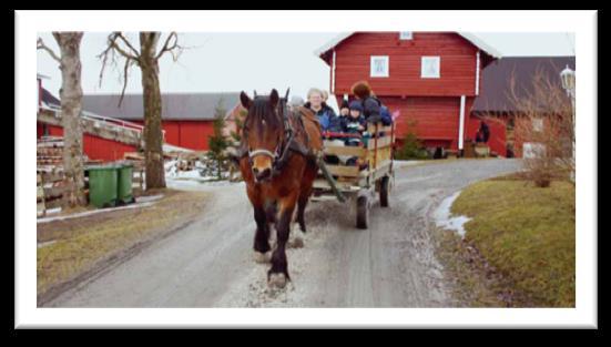 region i Norge på mat og drikke Nettverksbygging/kompetanseheving Tilrettelegge for samarbeid og nye produkter Synliggjøre Østfold som matfylke Støtte etablering og utvikling av produksjon av mat