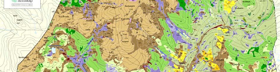 Lauvskogar er vist i gulgrønt, furuskog i grågrønt, heivegetasjon i fjellet i brunt, engvegetasjon i raudbrunt, myrer i blått og jordbruksareal i gult. 1.