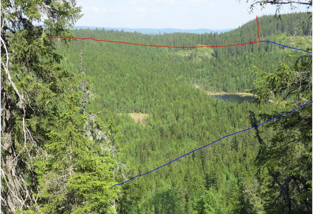 Figur 13. Svartputt ses med eldre skog i hovedsak innenfor Snellingsrøysene NR i bakgrunnen.