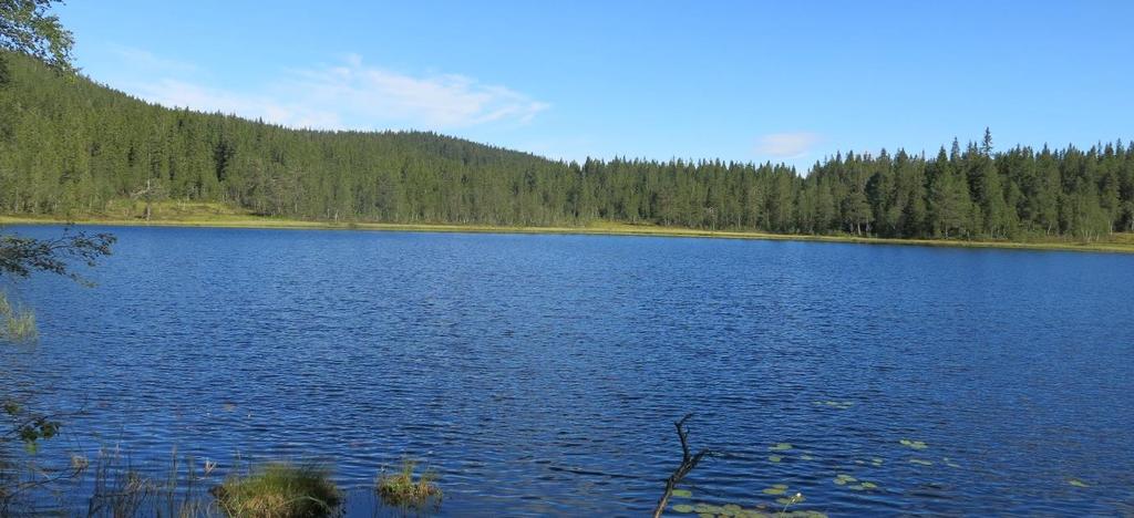 Naturgrunnlag Topografi Lokaliteten ligger 420-621 m.o.h.