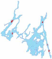 Aerob fosforutlekking ble målt ved 4 forskjellige ph-verdier i 12 kjerner fra grunt vann (4 m) i hvert basseng (Vanemfjorden og Storefjorden).