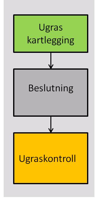 Presisjonssprøyting tre nødvendige operasjoner eller trinn 1. - 1. Hvordan er ugraset fordelt i åkeren? Hvor er det høyt og lavt ugraspress? - trenger sensor for kostnadseffektiv kartlegging 2. 3.