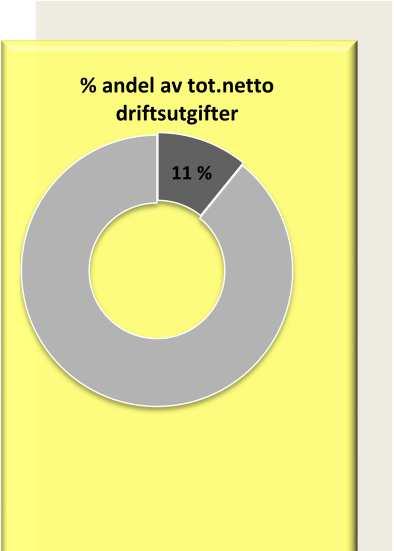 Årsmelding 2016 Samfunn og utvikling SAMFUNN OG UTVIKLING Samfunn og utvikling er eit tenesteområde med sektorovergripande arbeidsoppgåver knytt til samfunnsutvikling, næringsutvikling,