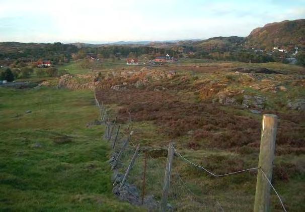 Lokaliteten består av beita, ugjødsla kystlynghei, der dei best beita areala (på knausar og i brattkantar) er grasdominert naturbeitemark.