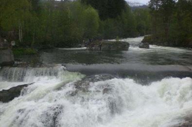 Det er ikke påvist viktige naturtyper i vassdraget og med foreslåtte minstevannføring anses konsekvensen som liten negativ (-) Fossen i Brattejølet er et vandringshinder for fisk, men strekningen i