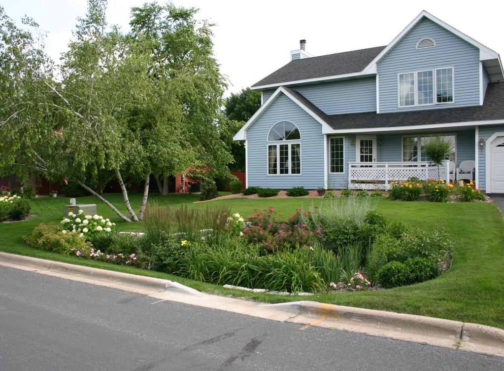 Rain garden i USA Ny type blomsterbed