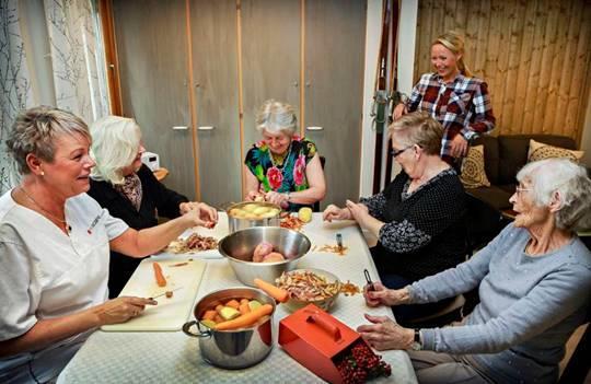 Elektrisk anlegg Tak og vindauge Etc.