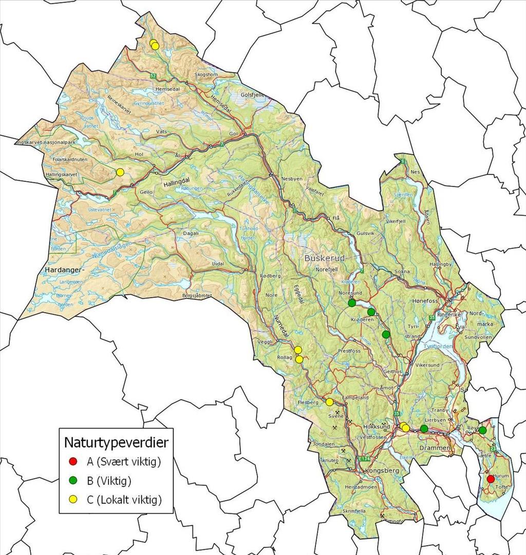Geografisk plassering av de undersøkte lokalitetene i Buskerud i 20