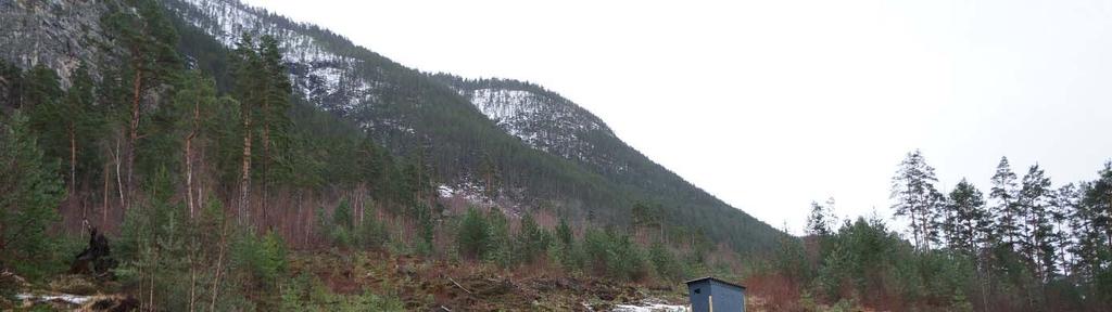 4.2 Stadens karakter Muggeteigen ligg i ein bratt, skogkledd, fjellside ved foten av Bermålsnosi. Området er 178 daa stort og godt synleg frå Årdalsfjorden.