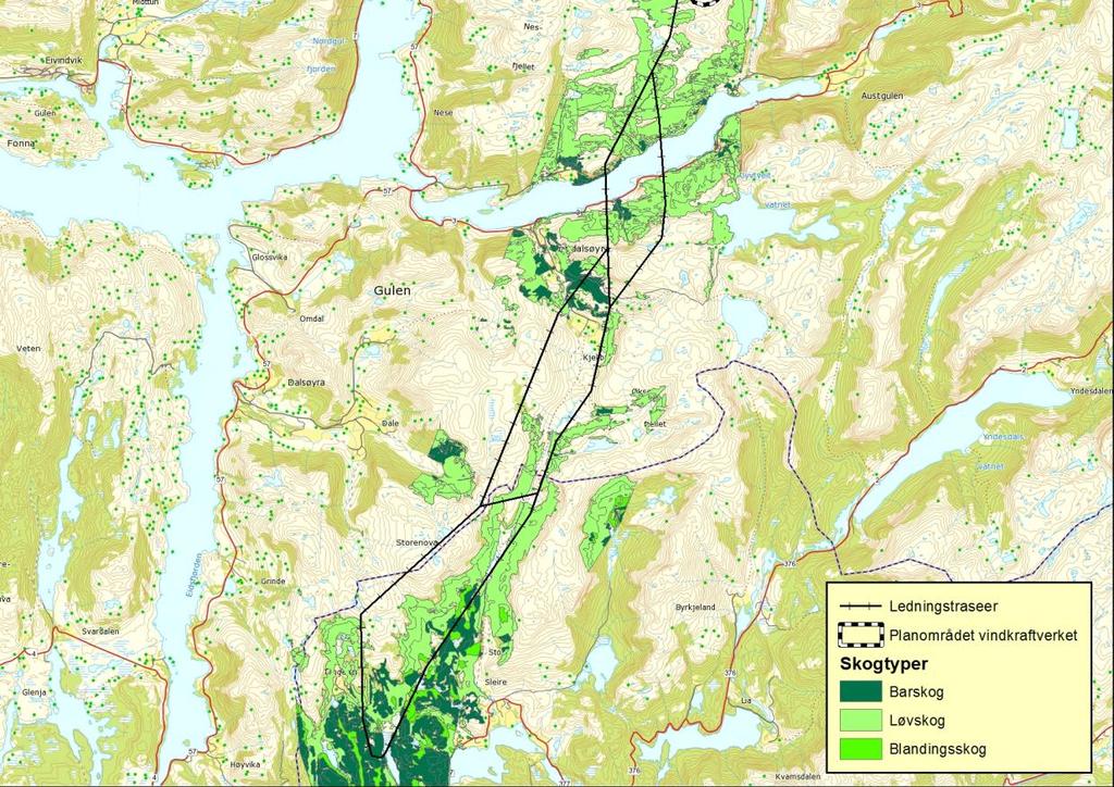 Skogressurser Skog dekker store deler av traséområdet mellom planområdet og tilknytningspunktet ved sørenden av Myrdalen.