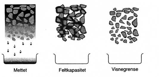 Binding av vann i jord Mettet: Alle porer fylt med vann Feltkapasitet: Likevekt mellom gravitasjonskrefter og