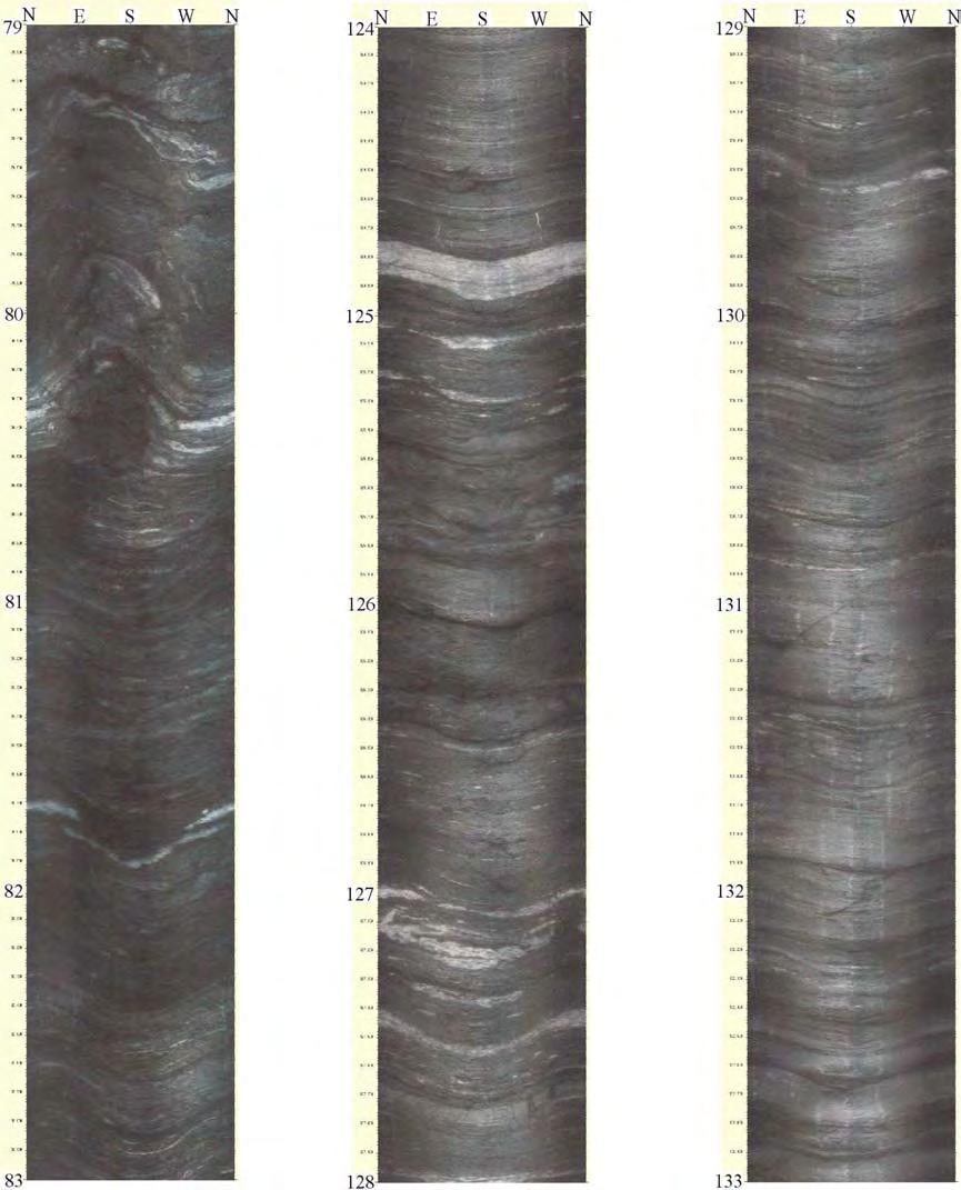 Figur 29. Bh 1 Storsandtunnelen. Optisk bildelogg fra 79 83 m, 124 128 m og 129 133 m. 4.6.2 Bh 2, Viggjatunnelen Figur viser resistivitet i fjell og IP for Bh 2, Viggjatunnelen.
