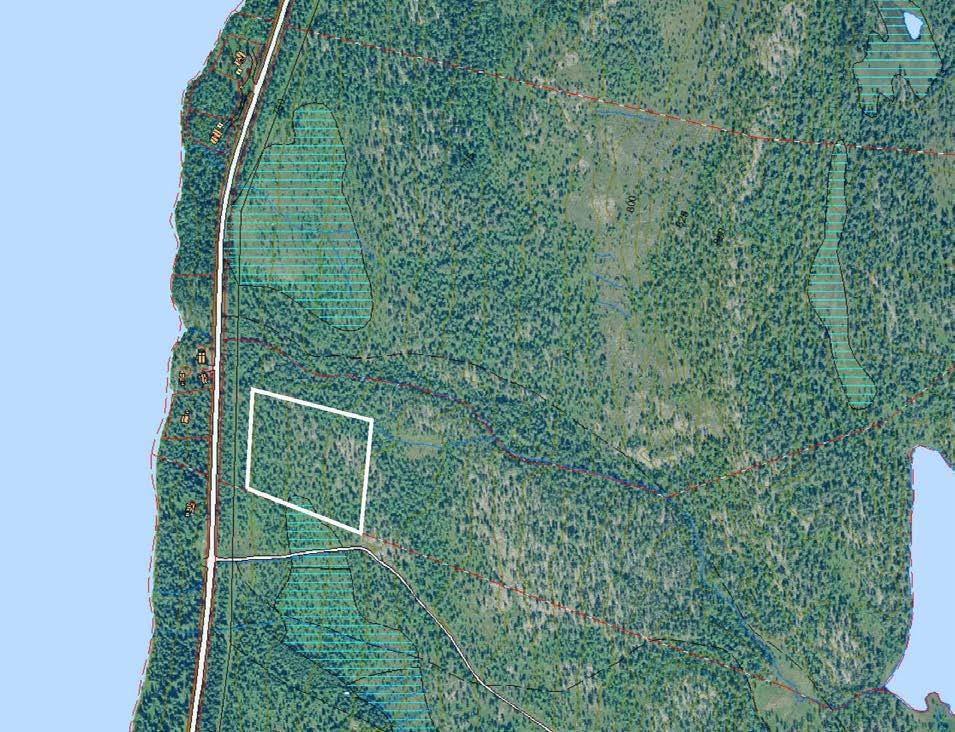 INNSPILL Nr Eiendom Avsender/ Tiltakshaver Dagens formål, Planstatus Foreslått formål, Område for fritidsbebyggelse samt