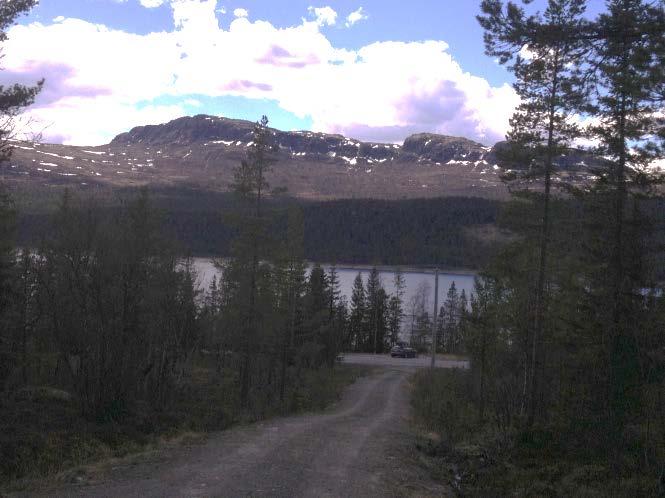 Skarpås skog 107 og 125 137/86,87 Skarpås skog v/ Steinar Bergerud LNF-område Beskrivelse: Område for fritidsbebyggelse, 7-9 tomter.