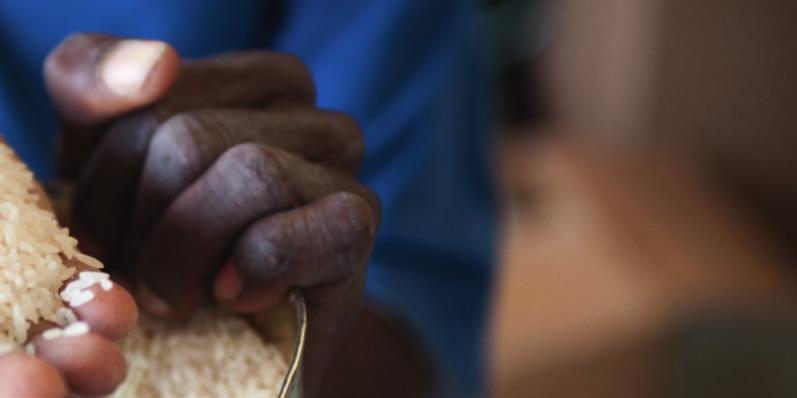 Norsk humanitær politikk. Årsrapport 2010 43 I Haiti bidro Programmet til at sårbare familier fikk tilgang på mat rett etter at katastrofen inntraff.