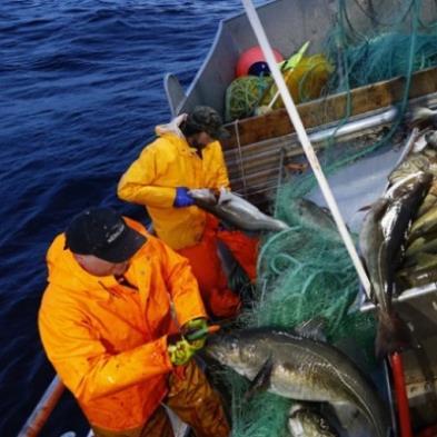 Boredekksarbeidere Subsea ROV personell Boreingeniører Cut & clean personell Prosessteknikere