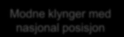 år 5-10 år Inntil 10 år Årlig støtte NOK 1,5-3 mill NOK 4-6 mill NOK 8-10 mill