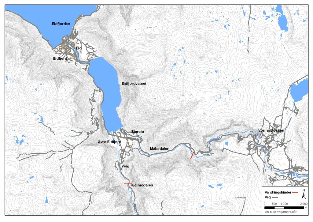 Beskrivelse av vassdraget og reguleringer Eidfjordvassdraget (Figur 1) består av tre hovedvassdragsavsnitt, Bjoreio og Veig som munner ut i Eidfjordvatnet fra henholdsvis Måbødalen og Hjølmodalen, og